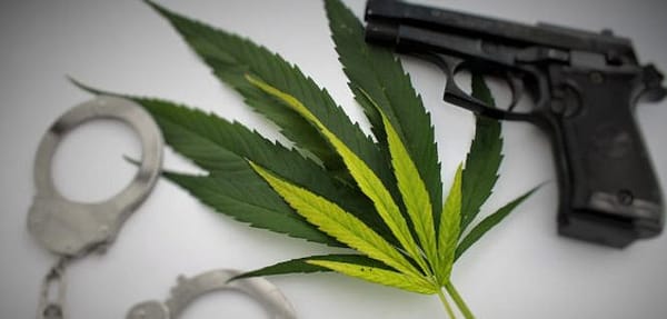 Thumbnail for: Can I Own a Gun if I’m a Marijuana User?