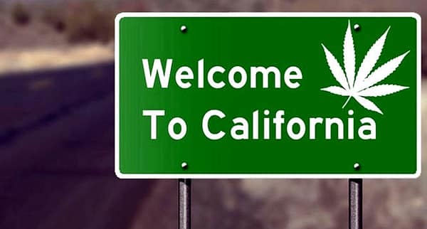 Thumbnail for: Are You Being Targeted for Being From a Marijuana-Friendly State?