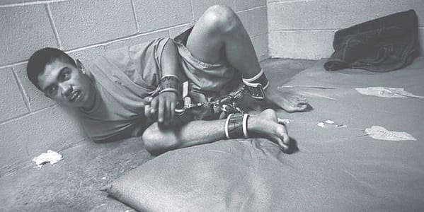 Thumbnail for: How Do Courts Determine Whether Prison Conditions are Cruel?