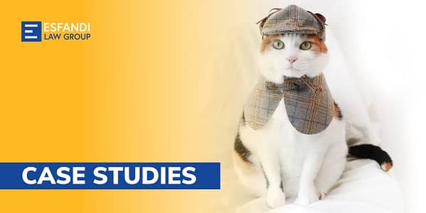 Thumbnail for: When Pets Become Crime Solvers: Unveiling the Extraordinary Role of Animals in Investigations