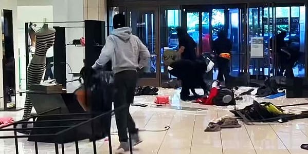 Thumbnail for: Los Angeles Forms The ‘Smash and Grab Task Force’, Will It Be Effective?