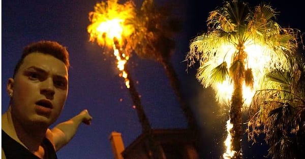 Thumbnail for: Common Crimes on the Fourth of July