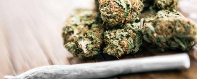 HSC 11357 : Possession of Marijuana
