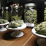 Will Feds Crackdown on Recreational Marijuana