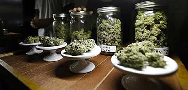 Thumbnail for: Will Feds Crackdown on Recreational Marijuana?