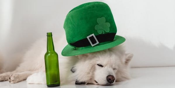 Thumbnail for: Common St. Patrick’s Day Crimes