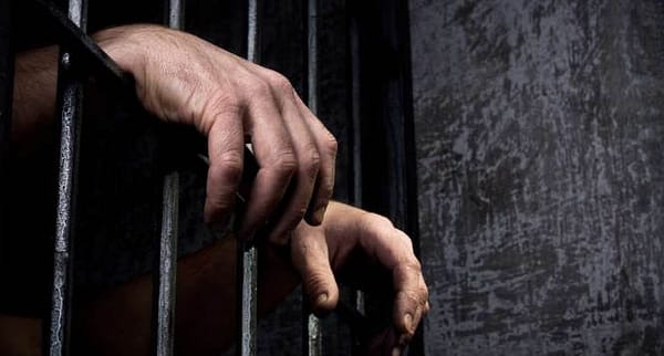 Thumbnail for: Sex Crimes with Possible Life Sentences
