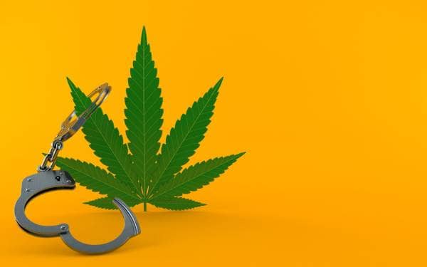 Thumbnail for: How to Get Your Marijuana Conviction Expunged and Sealed in Los Angeles