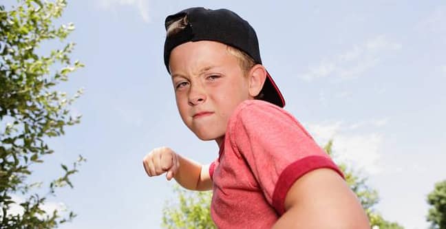 Thumbnail for: Perspectives Linking Early Aggression With Later-Life Crime
