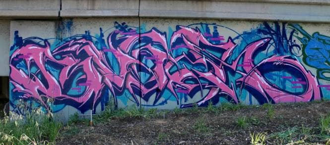 L.A. Graffiti Photo 3